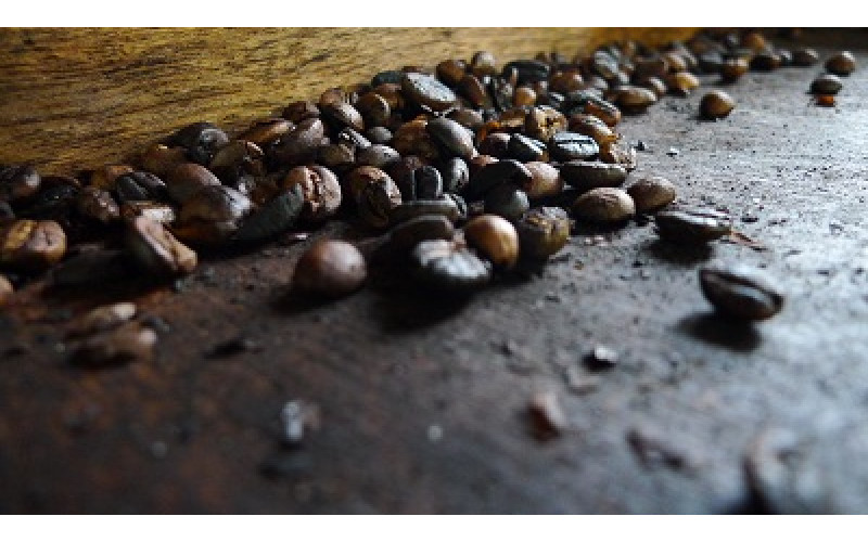 Копи Лувак – най-скъпото кафе в света