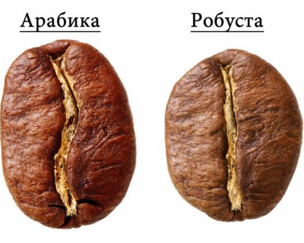Кое е най-доброто кафе на зърна?