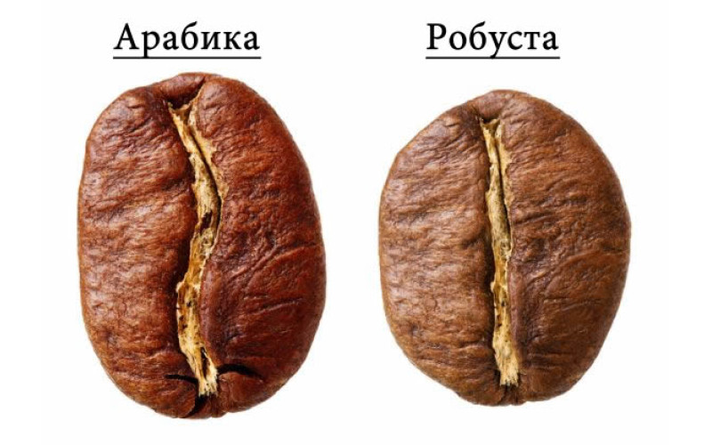 Кое е най-доброто кафе на зърна? Кое е най-доброто кафе на зърна?