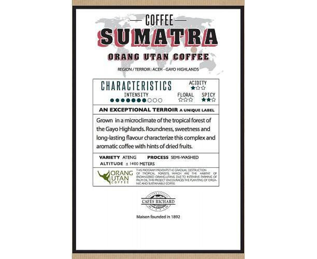Cafés Richard Sumatra - coffee beans 500 g