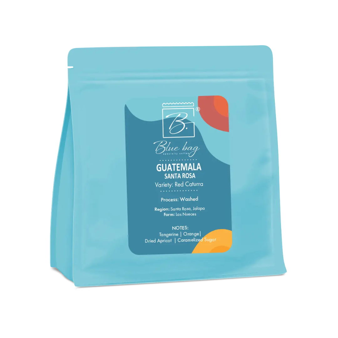 Blue Bag Guatemala Santa Rosa 250гр | Coffee beans | Coffee |